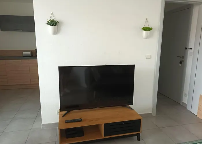 Appartement Superbe Et Parking Proche Du Centre Du Monde *